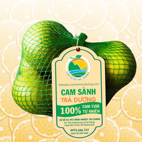 Cam sành Trà Dương
