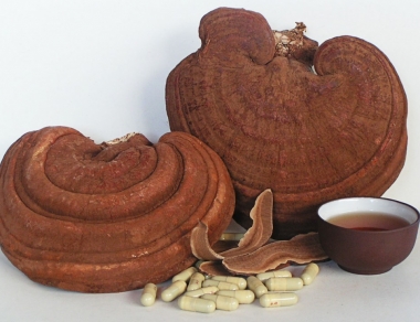 Nấm Linh Chi Khô