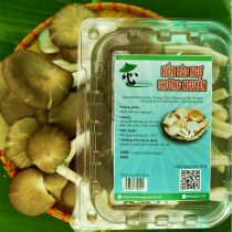 Nấm Bào Ngư