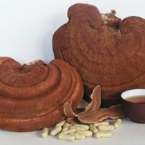 Nấm Linh Chi Khô